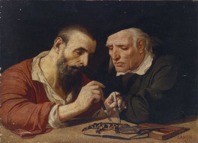 Der Salamander von Hans Canon